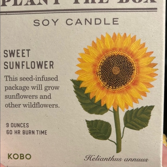 Ronny Kobo Collection Sunflower Soy Candle - Cream - Picture 3 of 3